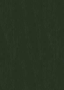 SAL 113 Tmavě zelená woodgrain 1